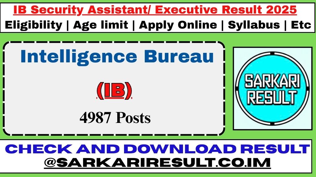IB Security Assistant